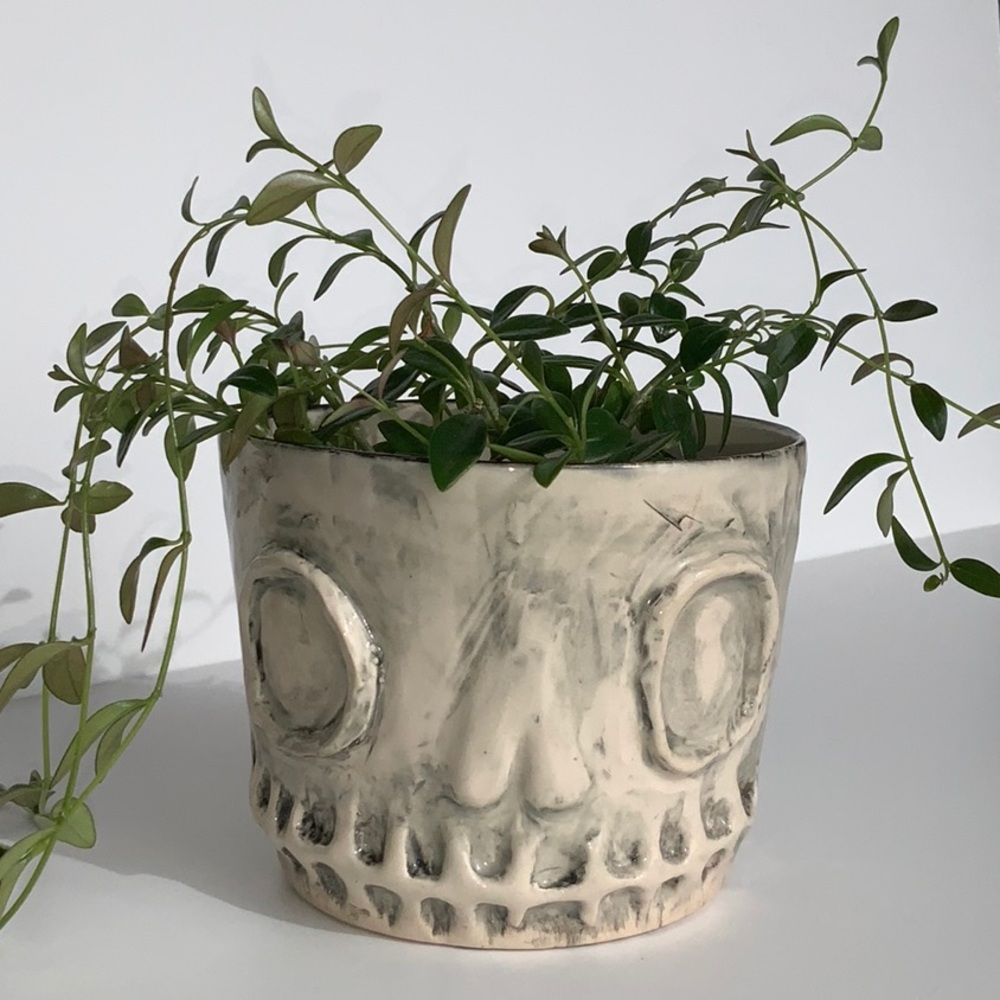 Skull Planter